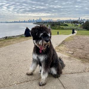 Meet your Posher, Prue